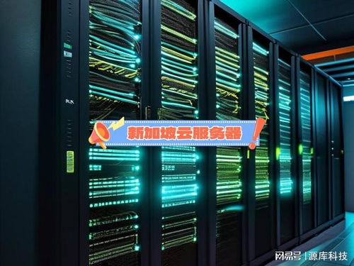 新加坡云服務器租用關鍵因素 數據處理與存儲支持服務解析